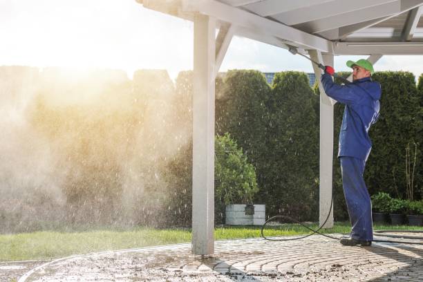 Best Solar Panel Cleaning  in Saddle Rock, NY